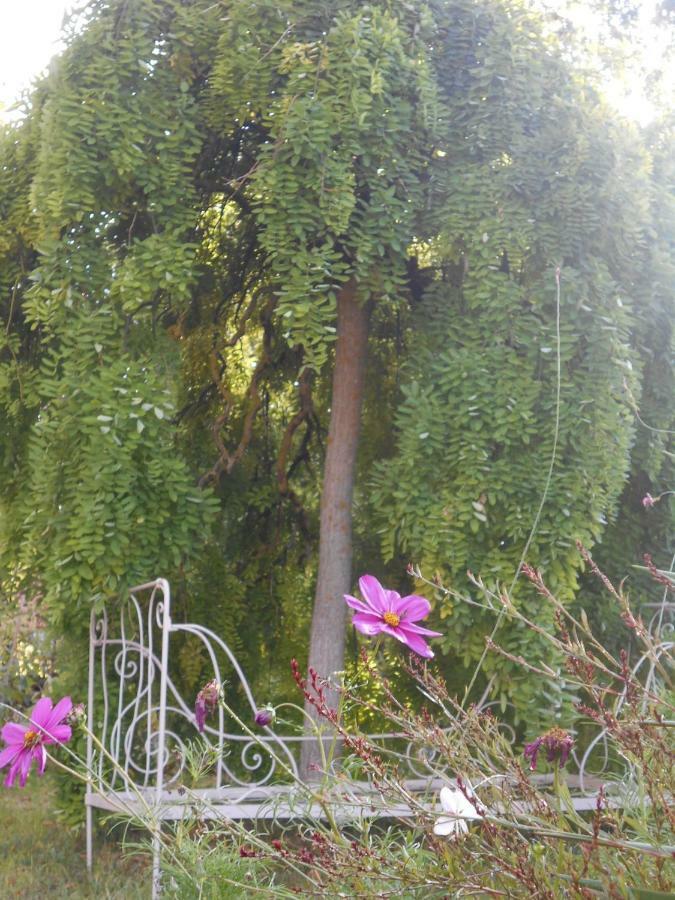 Bastida De Beata Bed and Breakfast Noailles  Εξωτερικό φωτογραφία