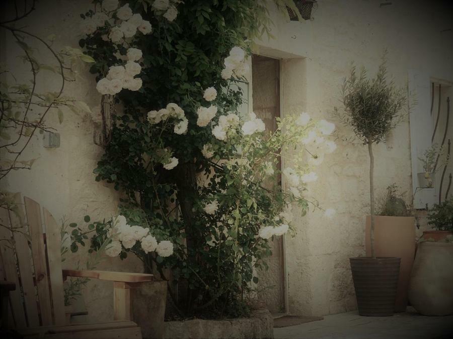 Bastida De Beata Bed and Breakfast Noailles  Εξωτερικό φωτογραφία