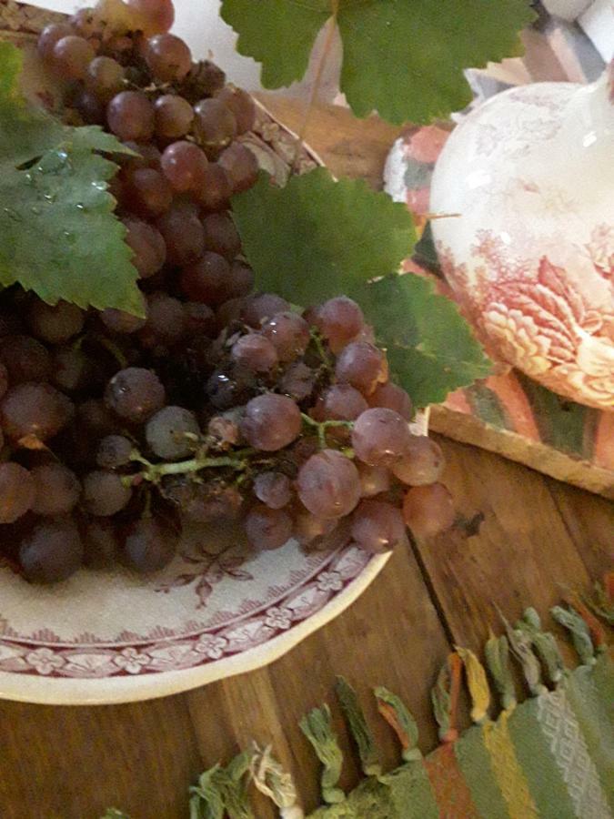 Bastida De Beata Bed and Breakfast Noailles  Εξωτερικό φωτογραφία