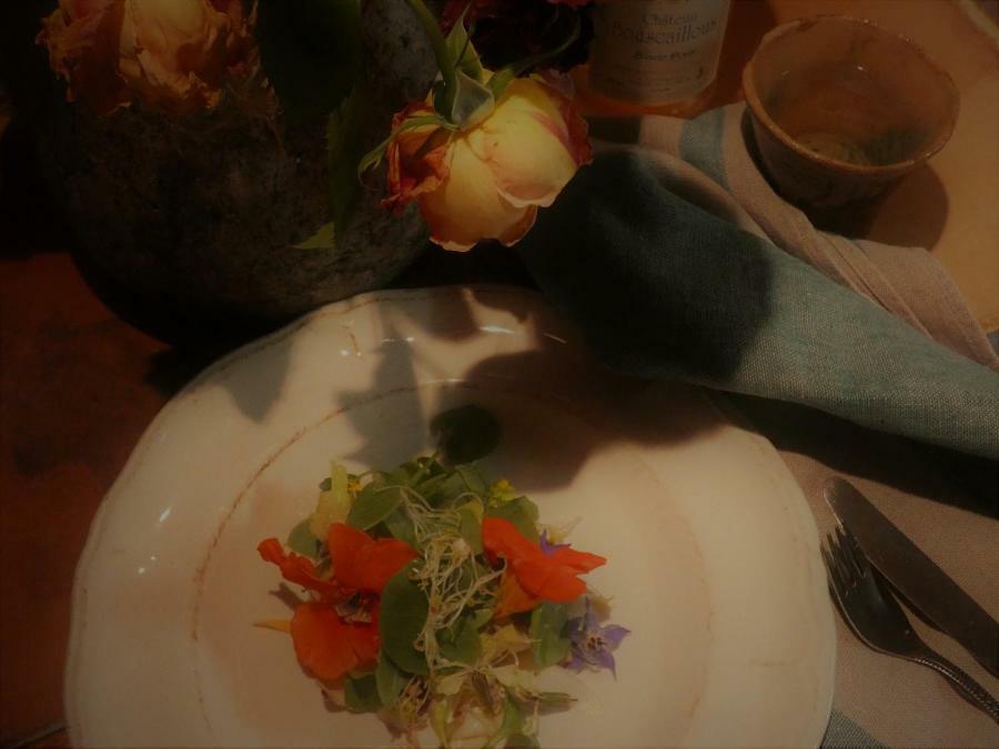 Bastida De Beata Bed and Breakfast Noailles  Εξωτερικό φωτογραφία