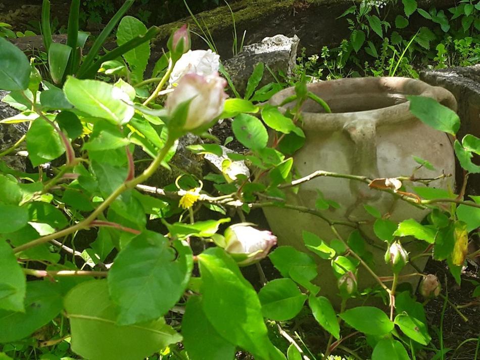 Bastida De Beata Bed and Breakfast Noailles  Εξωτερικό φωτογραφία